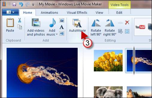 Create a Slideshow with Live Movie Maker