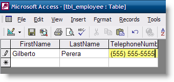 Add Telephone Mask to Access Table