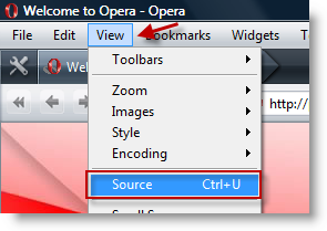 Opera Source Code View