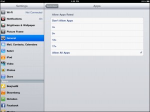 Enable Restrictions on Your iPad