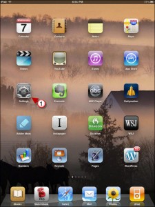 Customize the iPad Home Button
