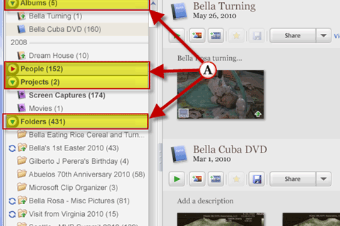 Create Collections to Organize Pictures in Picasa