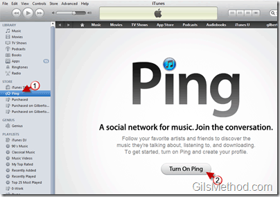 how-to-turn-on-ping-itunes-10