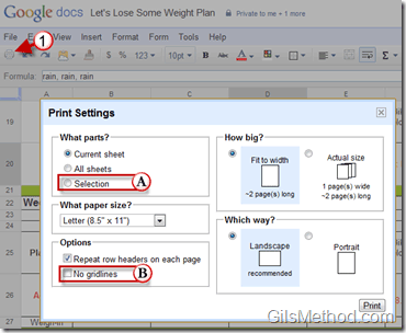 print-spreadsheets-and-save-ink-google-docs
