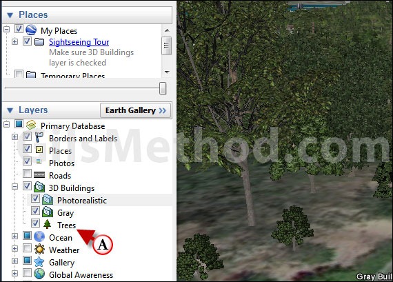 google-earth-update-trees