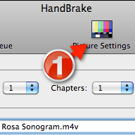 How to Deinterlace Videos with HandBrake
