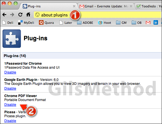 disable-chrome-pdf-plugin.png