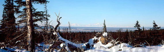 Anchorage alaska