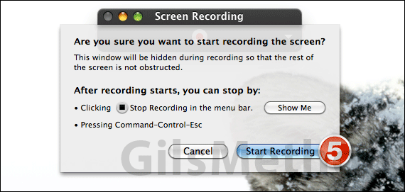 quicktime-player-screeb-recording-b.png