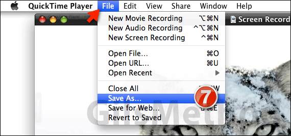 quicktime-player-screeb-recording-e.png