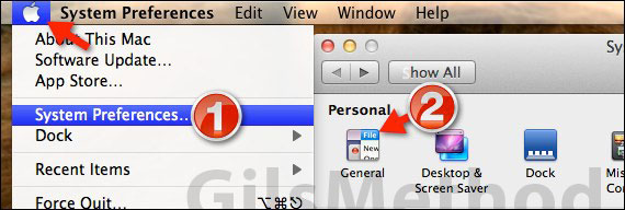 How to disable resume in mac lion