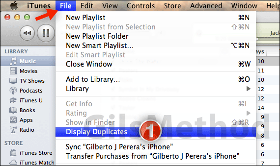 How to find duplicate songs itunes